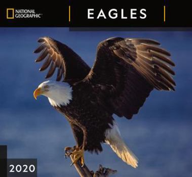Calendar Cal 2020-National Geographic Eagles Wall Book