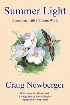 Paperback Summer Light: Encounters with a Vibrant World Book