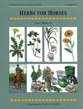 Herbs for Horses