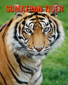 Paperback Sumatran Tiger: Amazing Facts about Sumatran Tiger Book