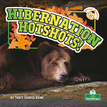 Hibernation Hotshots! (Clever Critters)