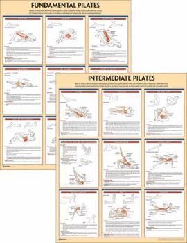 Poster Pilates Anatomy Poster Series Book