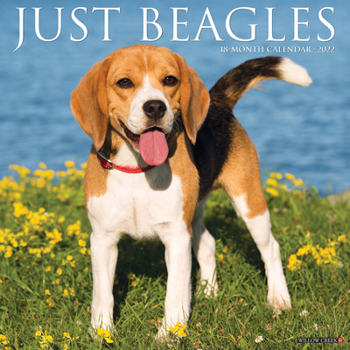 Calendar Just Beagles 2022 Wall Calendar (Dog Breed) Book