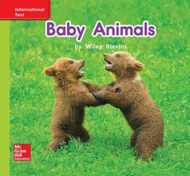 Spiral-bound World of Wonders Patterned Book # 7 Baby Animals Book