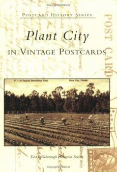 Paperback Plant City, Florida in Vintage Postcards Book