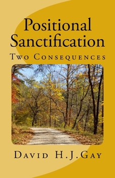 Paperback Positional Sanctification: Two Consequences Book