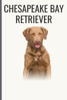 Paperback Chesapeake Bay Retriever: Chesapeake Bay Retriever Notebook with More Chesapeake Bay Retrievers Inside - Unique Journal For Proud Dog Owners, Da Book