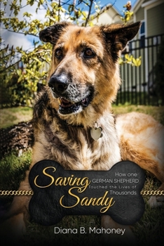 Paperback Saving Sandy Book