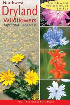 Paperback Northwest Dryland Wildflowers: Of the Sagebrush and Ponderosa Book