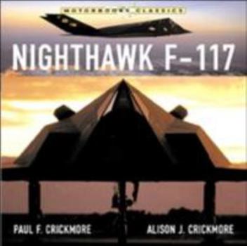 Paperback Nighthawk F-117 Stealth Fighter Book