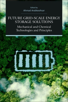 Paperback Future Grid-Scale Energy Storage Solutions: Mechanical and Chemical Technologies and Principles Book