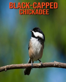 Black-Capped Chickadee: Super Fun Facts And Amazing Pictures