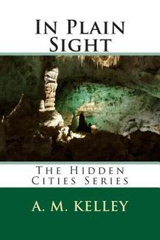 Paperback In Plain Sight Book