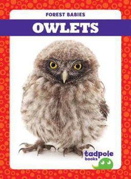 Library Binding Owlets Book