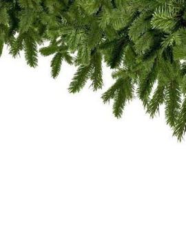 Paperback Holly Notebook Book