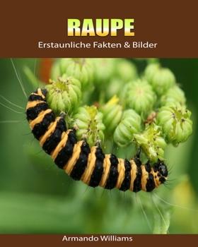 Paperback Raupe: Erstaunliche Fakten & Bilder [German] Book