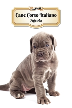 Paperback 2020 Cane Corso Italiano Agenda: 107 Pagine - Dimensioni DIN A5 - Pianificatore Settimanale - 12 Mesi - Due Pagine Per Settimana - Calendario - Diario [Italian] Book