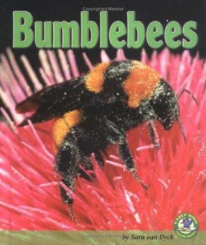 Library Binding Bumblebees Book