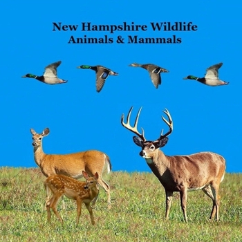 New Hampshire Animals and Mammals Kids Wildlife Book: Great Wildlife Book about Animals and Mammals in New Hampshire