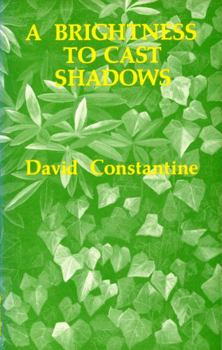 Paperback Brightness to Cast Shadows Book