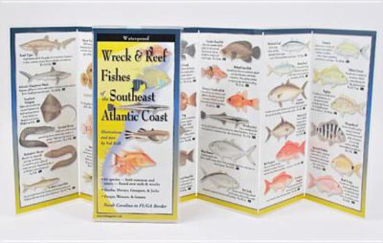 Paperback Wreck & Reef Fishes of the Se Atl. Cst. Book