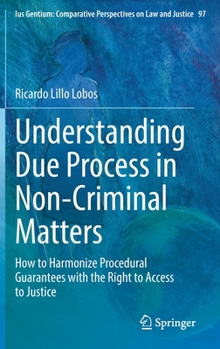 Hardcover Understanding Due Process in Non-Criminal Matters: How to Harmonize Procedural Guarantees with the Right to Access to Justice Book