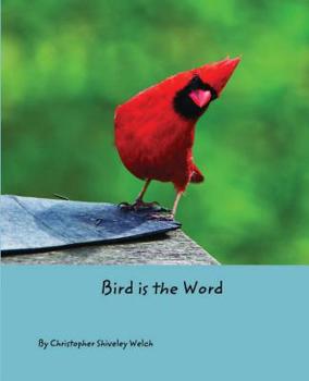 Paperback Bird is the Word Book