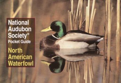 National Audubon Society Pocket Guide to Waterfowl (National Audubon Society Pocket Guides) - Book  of the National Audubon Society Pocket Guides