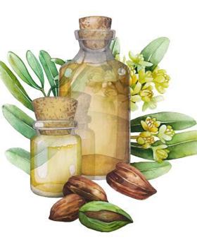 Paperback Jojoba Notes: Beautiful 8x10 Notebook, Dot Grid Interior, 200 pages Book