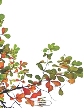 Photo-Stock Notizbuch: Buntes Herbst Laub  Dotgrid Punktkariertes Notizbuch 150 Seiten liniert | A4 Format | mattes Softcover | dot grid (German Edition)