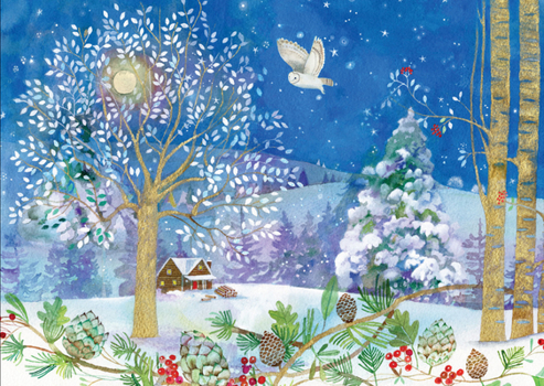 Gift Winter Starlight Deluxe Boxed Holiday Cards (20 Cards, 21 Self-Sealing Envelopes) Book