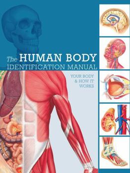 Human Body Identification Manual: Your body and how it works