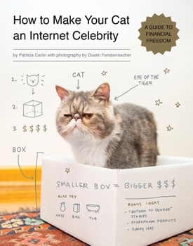 Paperback How to Make Your Cat an Internet Celebrity: A Guide to Financial Freedom Book