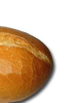 Paperback Roll Notebook Large Size 8.5 x 11 Ruled 150 Pages Softcover Book