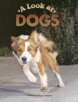 Paperback A Look at Dogs: Student Reader (Steck-Vaughn Pair-It Books: Early Fluency Stage 3) Book
