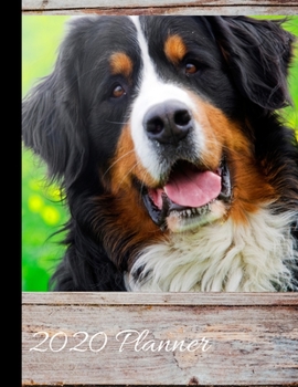 Paperback 2020 Planner: Bernese Mountain Dog Cover - 2020 Weekly Planner Organizer Dated Calendar And ToDo List Tracker Notebook Book
