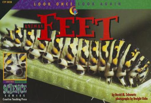 Paperback Look Once Look Again Animal Feet Book