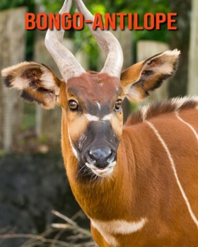 Paperback Bongo-Antilope: Erstaunliche Fakten & Bilder [German] Book