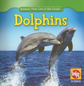 Paperback Dolphins Book