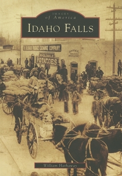 Paperback Idaho Falls Book