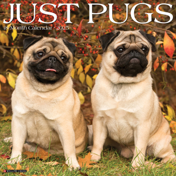 Calendar Just Pugs 2025 12 X 12 Wall Calendar Book