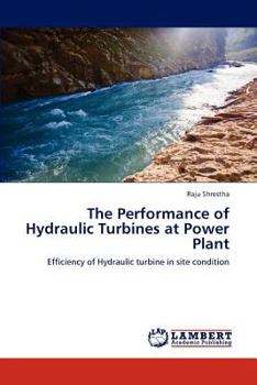 Paperback The Performance of Hydraulic Turbines at Power Plant Book