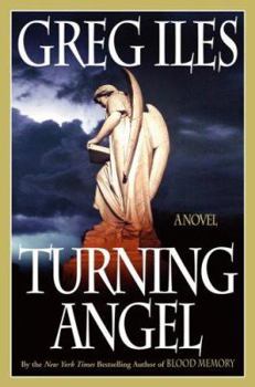 Hardcover Turning Angel Book