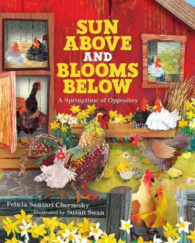 Hardcover Sun Above and Blooms Below: A Springtime of Opposites Book