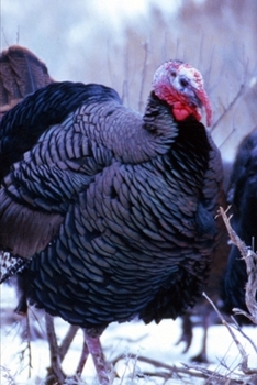 2020 Weekly Planner Winter Theme Wild Turkeys 134 Pages: 2020 Planners Calendars Organizers Datebooks Appointment Books Agendas