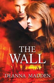 Paperback The Wall Book