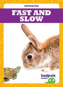 Paperback Fast and Slow Book