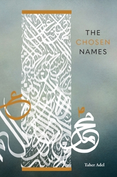 Hardcover The Chosen Names Book