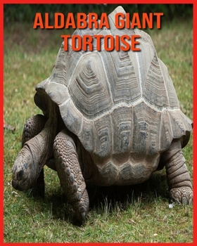 Aldabra Giant Tortoise: Learn About Aldabra Giant Tortoise and Enjoy Colorful Pictures
