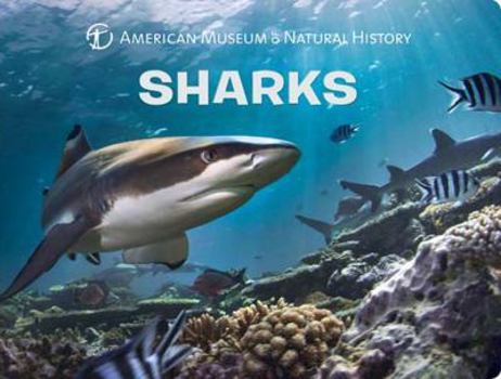 Sharks - Book  of the Science for Toddlers